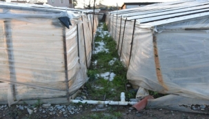 Çeşme'de hortum felaketinin ardından Urla'yı dolu vurdu!