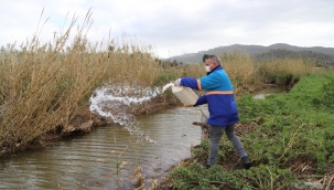 Menderes’te haşere ile mücadele