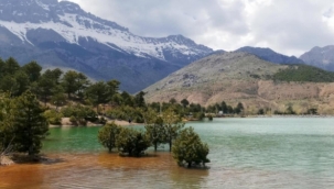 'Ocak ayında Türkiye ortalamanın iki katı yağış aldı' 
