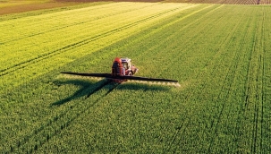 Tarım Kredi, bu yıl 3.7 milyar liralık ürün alacak 