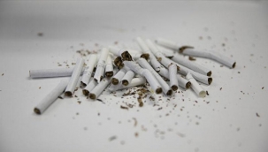 'Türkiye'de tütün kullanımı Kovid-19'dan 4 kat fazla can alıyor' 