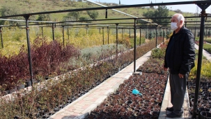 Başkan Selvitopu yeni fidanlığı inceledi