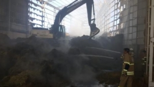 Bergama'da besi çiftliğinde 2 milyon kül oldu!