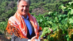 Bornova'da vatandaşlara 30 bin sebze fidanı 