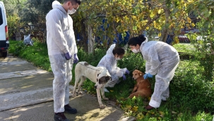Bornova'da can dostları yalnız değil!