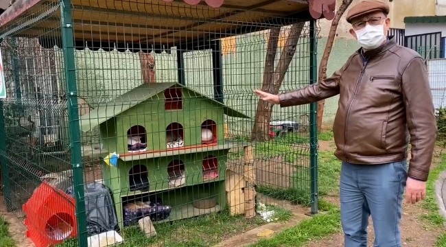 CHP’li Sertel’den hayvan hakları yasa tasarısıyla ilgili çağrı