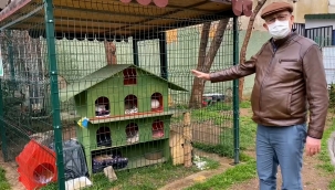 CHP’li Sertel’den hayvan hakları yasa tasarısıyla ilgili çağrı 