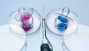 ‘Erkeklerde kısırlık yüzde 50'ye ulaştı, kadınlarda erken menopoz görülme sıklığı arttı’ 