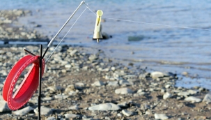 Foça'da balıkçılardan yasa dışı avlananlara tepki: Balıklar büyümeden yakalanıyor!
