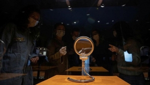 'Güneş Tanrıçası' ait olduğu topraklarda sergide