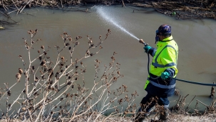 İzmir'de sineksiz yaz için ilaçlamalar başladı!