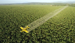 Politikacıdan koronavirüsle mücadelede 'uçaklardan dezenfektan sıkalım' önerisi