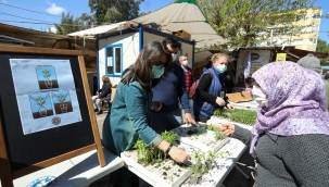 Buca’da balkon tarımı için 100 bin fide 