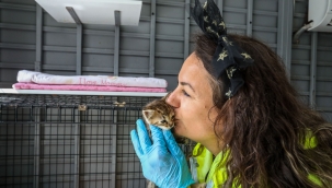 Buca’da engelli kediler için tam teşekküllü merkez!