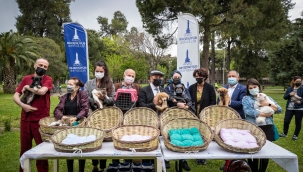 Büyükşehir'den sokak hayvanlarına farkındalık kampanyası!