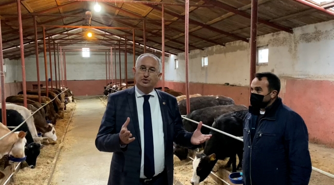 CHP'li Sertel Karslı yetiştiricinin isyanını dinledi: Kazanamıyoruz