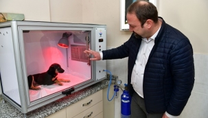Çiğli'den hayvan dostu proje: Yoğun bakım ünitesi