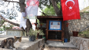 Deniz’in hatırası Kedi Evi’nde yaşayacak… 