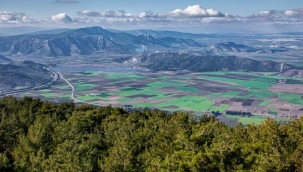 Doğa katliamında sıra Tire'de: Geri dönülmez tehlike kapıda