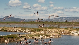 Gediz'de çalışmalar başlatıldı: Gönüllüler de katılacak