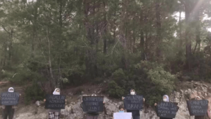 Köylüler ağaç kıyımına karşı nöbette: Çocuklar hiç uyumadı