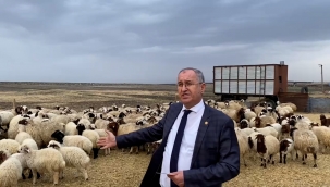 Ziraat Bankası hayvancılıkla ilgili proje başlattı Kars’ı dahil etmedi