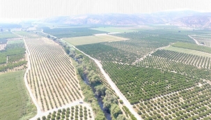 Başkan Girbiyanoğlu'ndan Selçuk çiftçisine müjde! Selçuk Köprüsü ihaleye çıkıyor... 