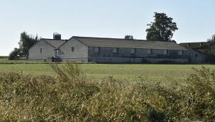 Belçikalı çiftçi, yanlışlıkla ülkesinin sınırını değiştirdi 