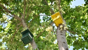 Bornova’da parklar rengarenk Kuş Evleri'yle donatıldı!