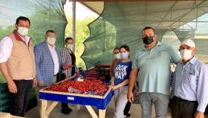 “Kiraz üreticisini pandemi değil pazara müdahaleler bitiriyor”