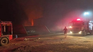 Manisa'da besi çiftliğinde korkunç yangın!