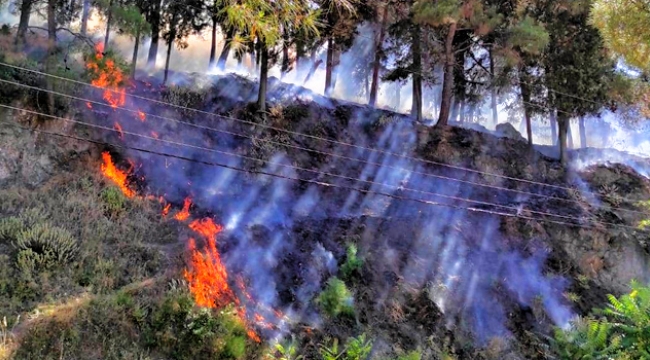 Manisa Spil Dağı Milli Parkı'nda 10 farklı noktada yangın!