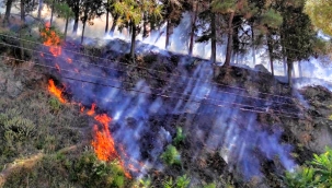  Manisa Spil Dağı Milli Parkı'nda 10 farklı noktada yangın!