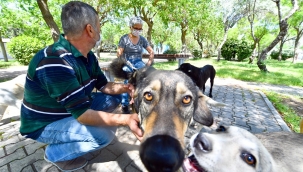 Pandemide can dostlara toplam 221 ton mama 