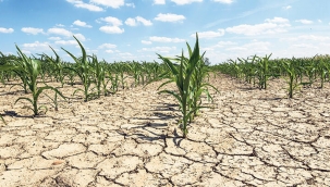 Su raporu: Tarımda kuraklık tehlikesi 