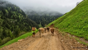 Tarımcıların Zirvesinde söz uzmanların! 
