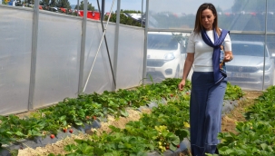 Toprak kütüphanesinden ata tohumlara: Efes Tarlası Yaşam Köyü açıldı