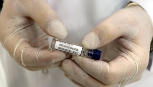 Yerli aşıda Faz-2 çalışmaları bakanlığa iletildi 