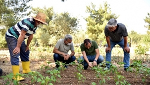 Bornovalı çiftçiye yerinde destek sürüyor 