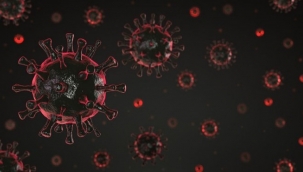 DSÖ'den Avrupa'ya Delta varyantı uyarısı 