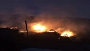 İzmir'de yangın: İncir ve zeytin ağaçlarının bulunduğu 40 dekarlık alan kül oldu