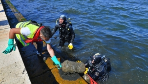 İzmirli dalgıçlar körfezde dip temizliği yaptı!