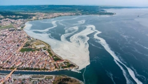 Korkulan oldu: Deniz salyası Ege'ye akmaya başladı