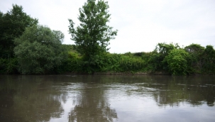 Marmara Denizi'ne dökülen 'Nilüfer Çayı'nın rengi atık deşarjıyla kirlenip siyaha dönüyor 