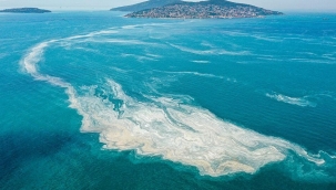 Müsilaj Kuzey Ege'ye ulaştı: İzmir ve Muğla tehlike altında mı?