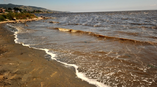 Sahillerde kumun rengi siyaha döndü, uzmanlar uyardı!
