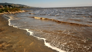 Sahillerde kumun rengi siyaha döndü, uzmanlar uyardı! 