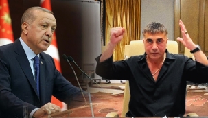 Sedat Peker tartışmasına Erdoğan da katıldı 
