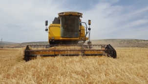 TMO'nun ithalatı İzmir Limanı'na inecek