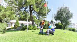 Bornova'da parklara hayvanlar için suluk: Her gün temizleniyor 